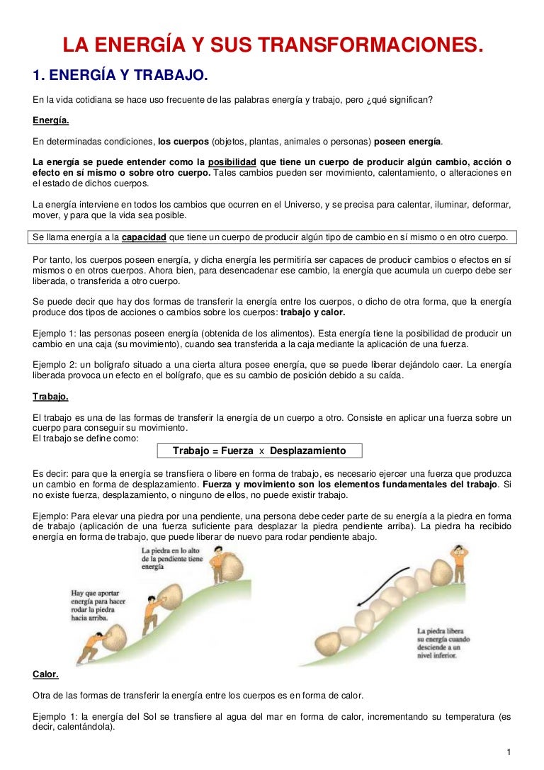Cuerpo la energia humano del como se wikipedia obtiene